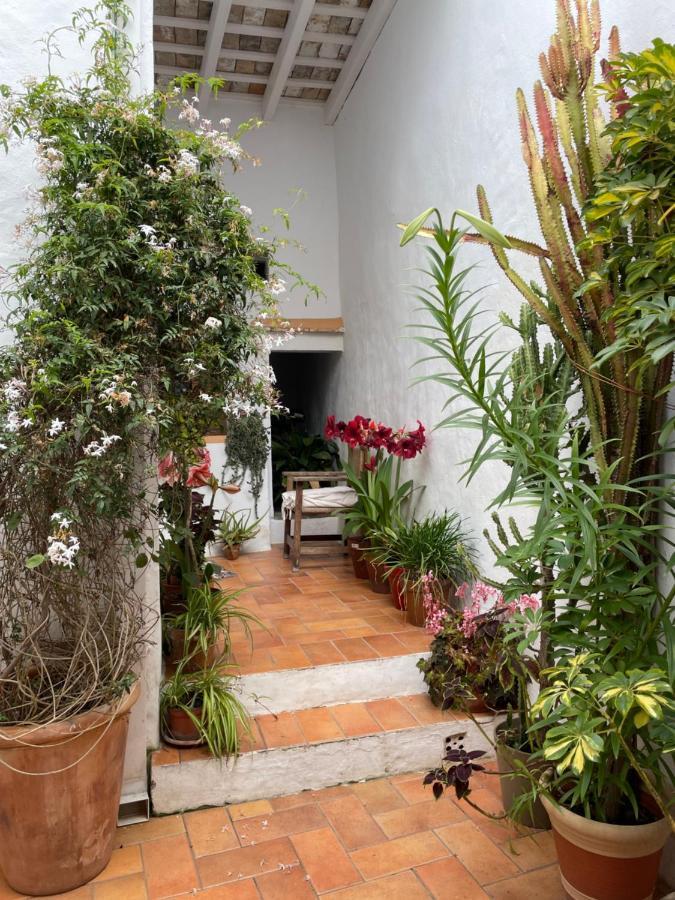 Casa Dulce Villa Vejer de la Frontera Exteriör bild